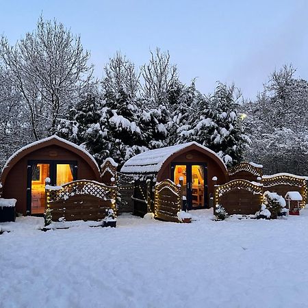Conifer Cabins Fort William Exterior foto